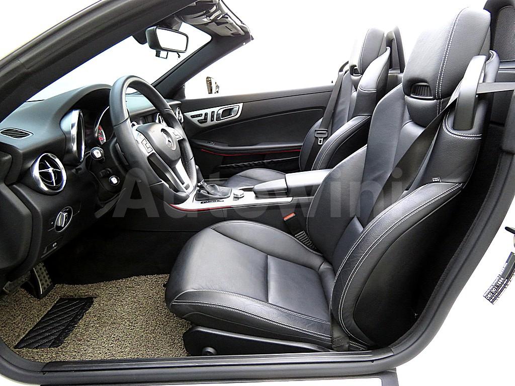 2014 MERCEDES BENZ  SLK CLASS SLK200 BLUE EFFICIENCY R172 - 10