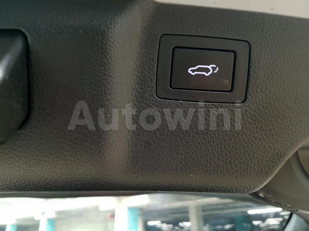 2014 HYUNDAI MAXCRUZ FULL-7S+19+S-KEY+GPS+AUTOTRUNK - 48