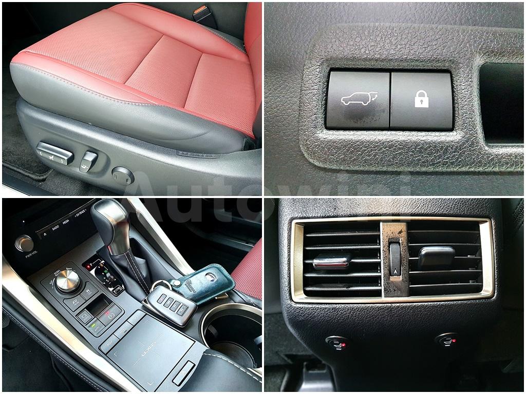 2021 LEXUS NX300H 300H SUPREME - 17