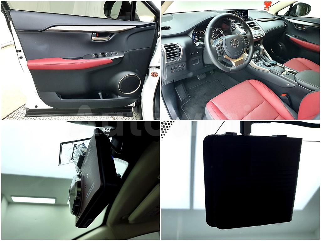 2021 LEXUS NX300H 300H SUPREME - 19