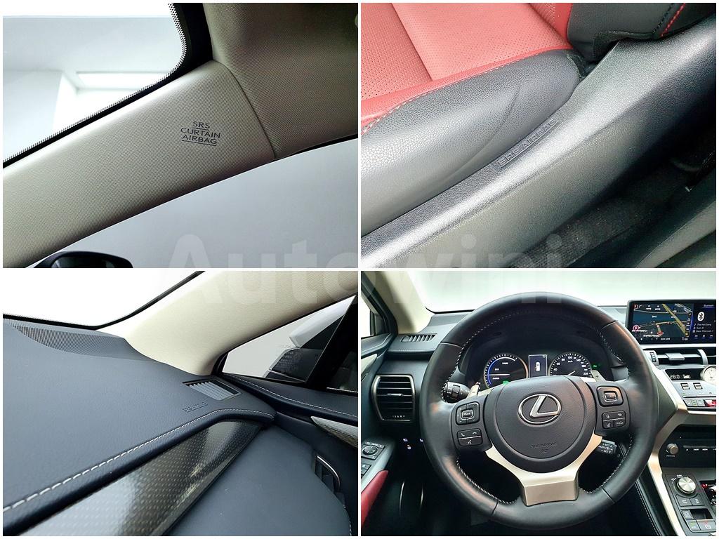2021 LEXUS NX300H 300H SUPREME - 20