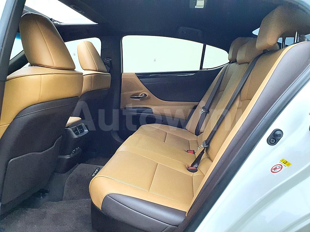 2019 LEXUS  ES 300H LUXURY - 9