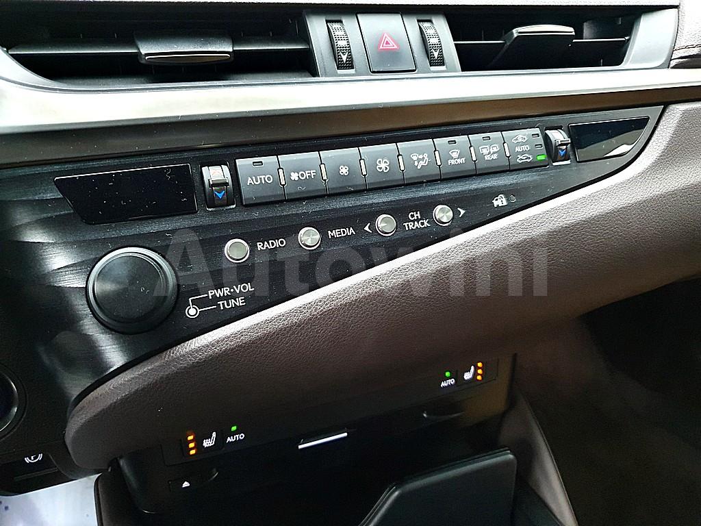 2019 LEXUS  ES 300H LUXURY - 13