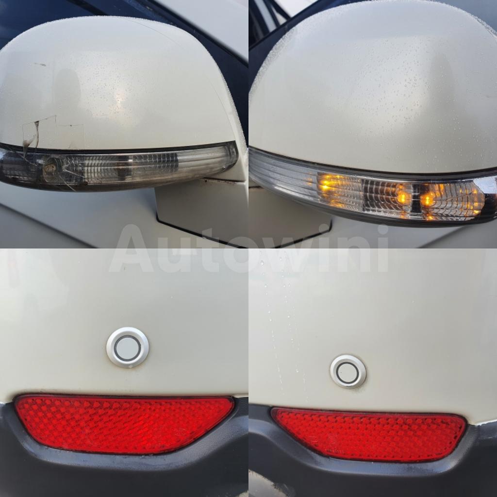 2010 GM DAEWOO (CHEVROLET) WINSTORM LT A/T NAVI R/C SUNROOF - 40