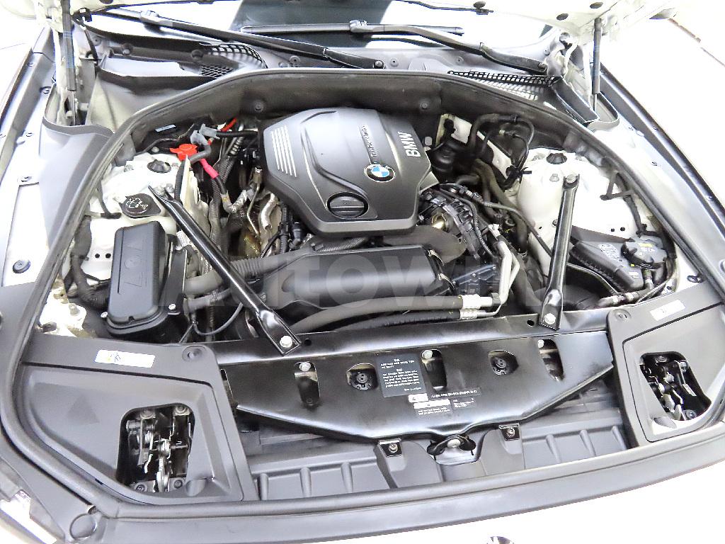 2016 BMW 5 SERIES F10  520D M - 6
