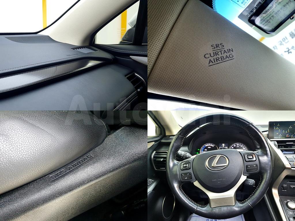 2017 LEXUS NX300H SUPREME - 19
