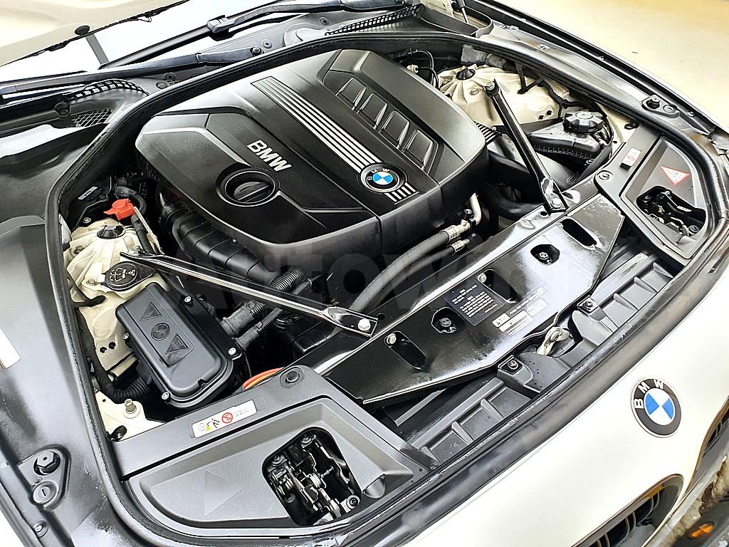 2013 BMW 5 SERIES F10  520D - 6