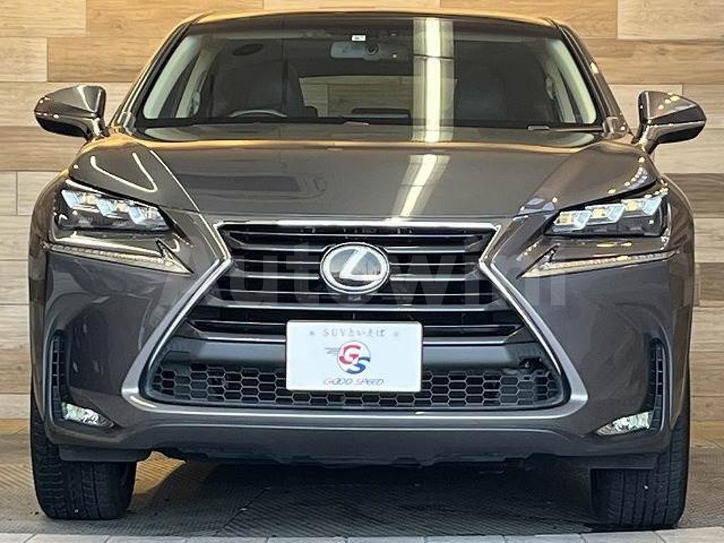 2015 LEXUS NX - 10