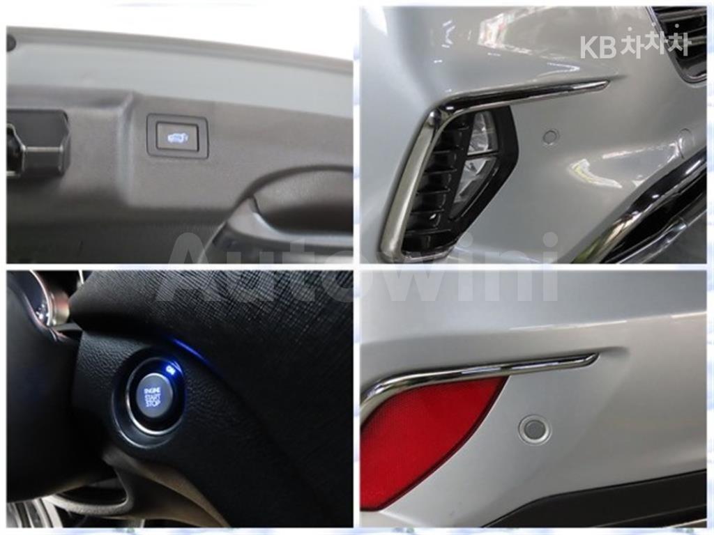 2018 HYUNDAI  MAXCRUZ DIESEL(E-VGT)R2.2 4WD 파이니스트 EDITION 7 SEATS - 19