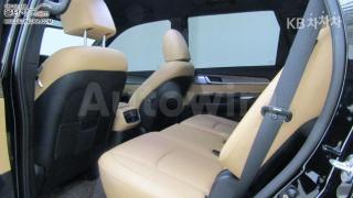 2021 KIA THE MASTER 4WD DIESEL PLATINUM - 17