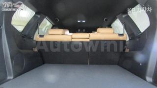 2021 KIA THE MASTER 4WD DIESEL PLATINUM - 18