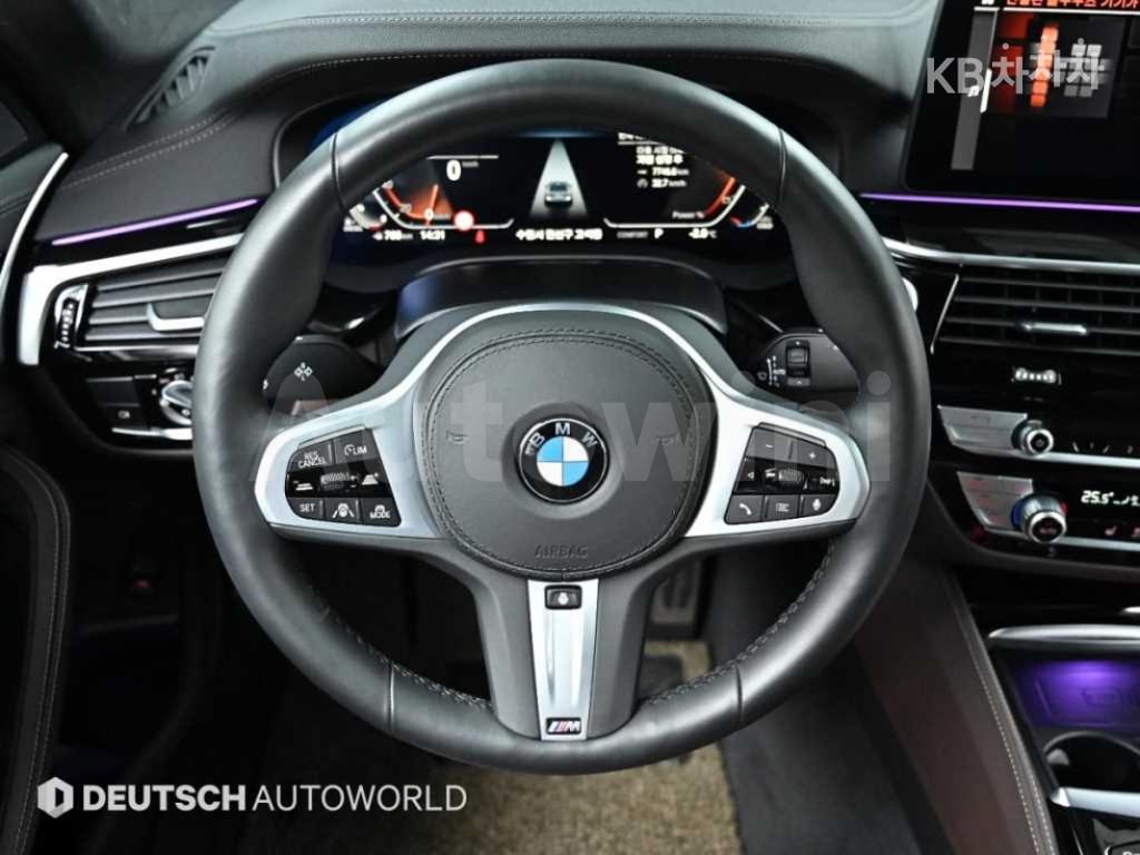 2021 BMW  5SERIES G30  523D M SPORT - 13