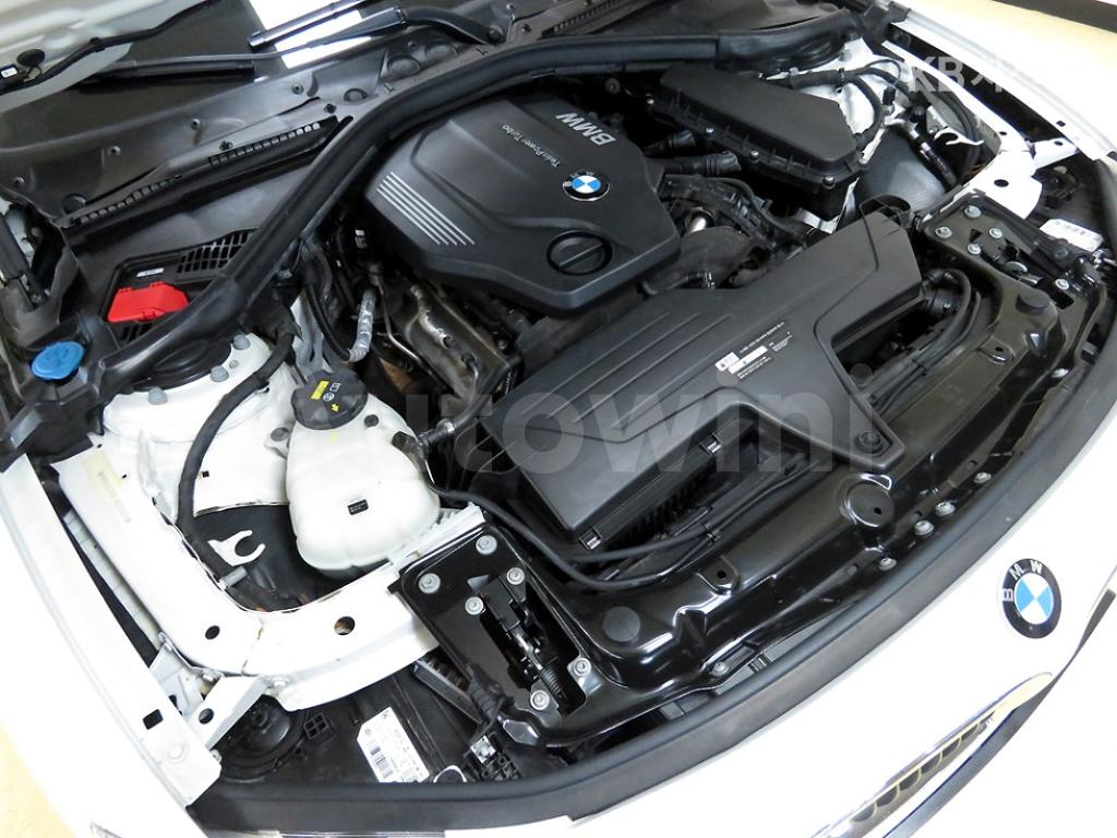 2017 BMW 3 SERIES 320D XDRIVE F30(12~) - 19