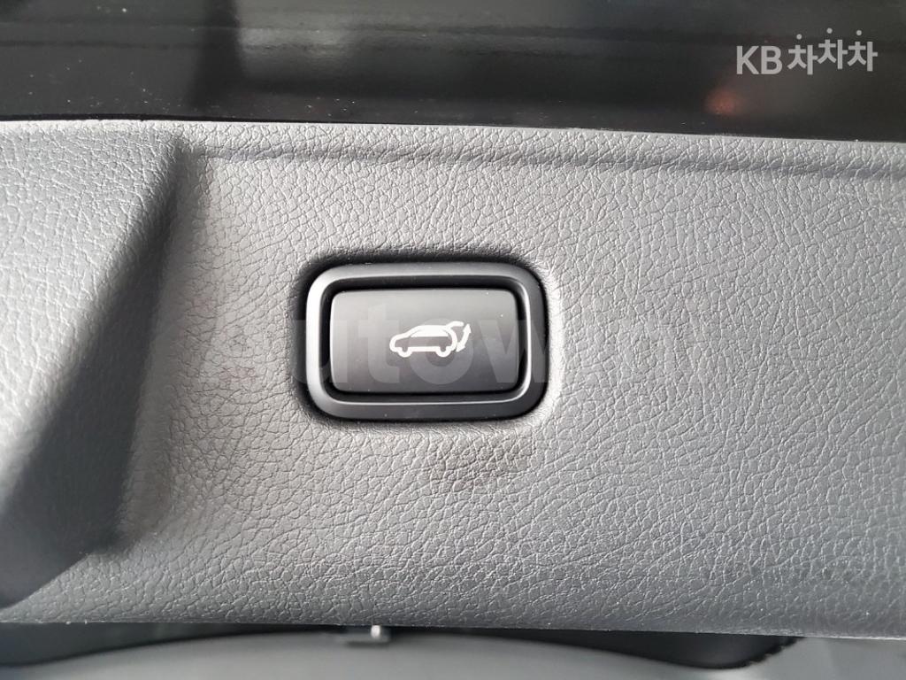 2021 KIA THE MASTER 4WD DIESEL 마스터즈 - 30