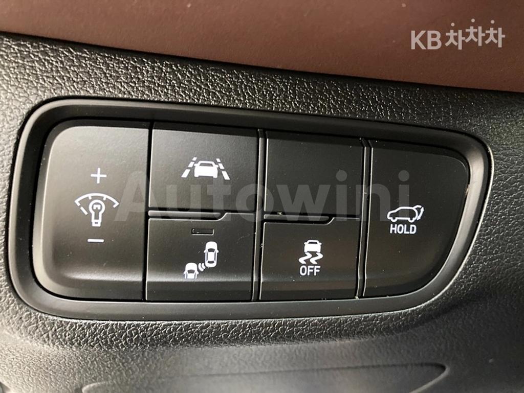 2020 HYUNDAI SANTA FE TM DIESEL 2.2 2WD 인스퍼레이션 - 21
