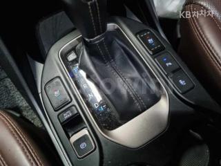 2016 HYUNDAI  MAXCRUZ DIESEL(E-VGT)R2.2 4WD 파이니스트 EDITION 7 SEATS - 16