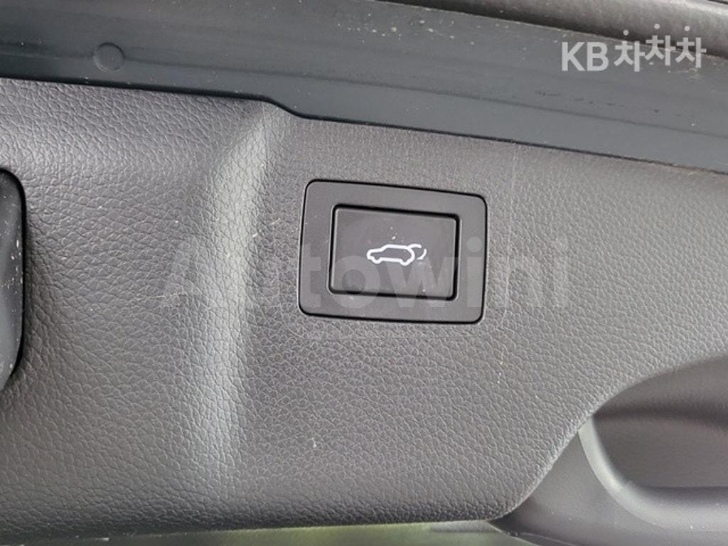 2018 HYUNDAI  MAXCRUZ DIESEL(E-VGT)R2.2 2WD 파이니스트 EDITION 6 SEATS - 14
