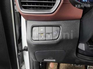 2019 HYUNDAI SANTA FE TM GASOLINE 2.0T 2WD 인스퍼레이션 - 19