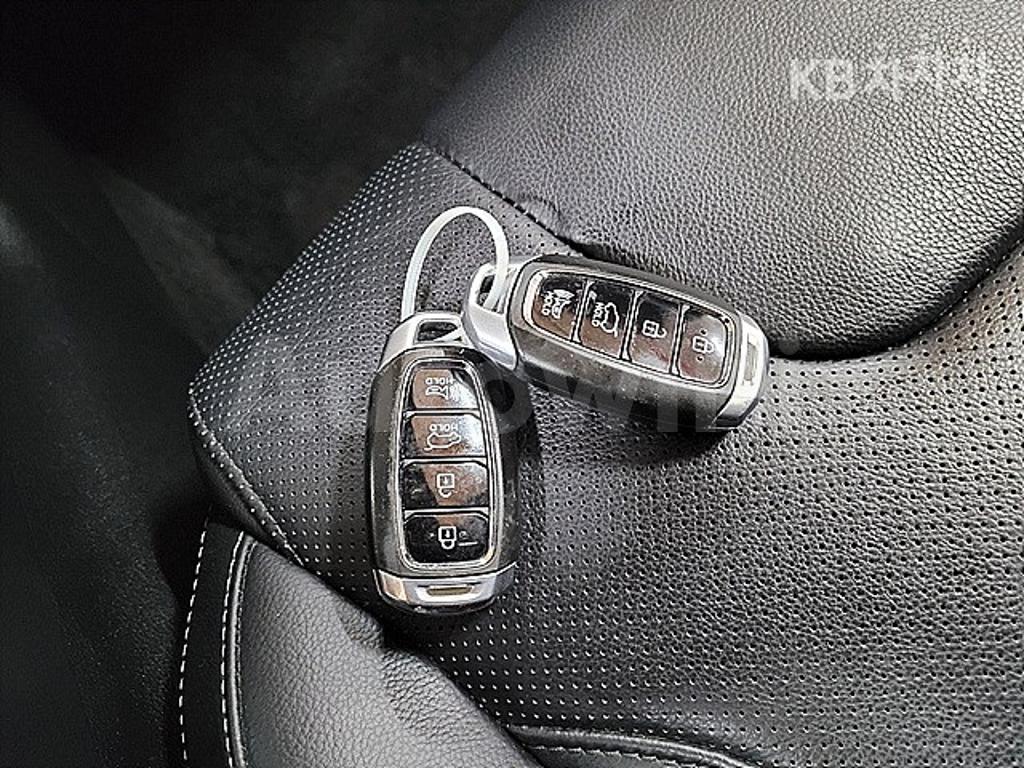2019 HYUNDAI SANTA FE TM DIESEL 2.2 4WD PRESTIGE - 29