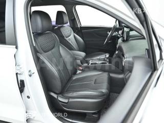 2019 HYUNDAI SANTA FE TM DIESEL 2.0 2WD PREMIUM - 10