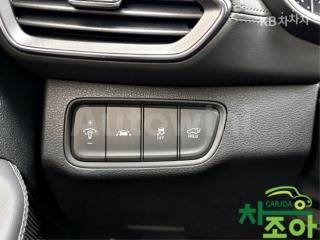 2019 HYUNDAI SANTA FE TM GASOLINE 2.0T 2WD EXCLUSIVE - 11
