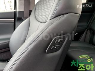 2019 HYUNDAI SANTA FE TM GASOLINE 2.0T 2WD EXCLUSIVE - 17