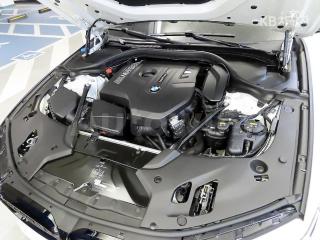 2017 BMW  5SERIES G30  530D M SPORT - 19