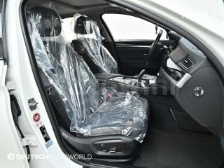 2016 BMW 5 SERIES 520D F10(10~16년) - 10