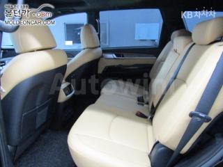 2021 KIA THE MASTER 4WD DIESEL PLATINUM - 10