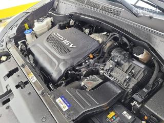 2018 HYUNDAI  MAXCRUZ DIESEL(E-VGT)R2.2 4WD 파이니스트 EDITION 6 SEATS - 19