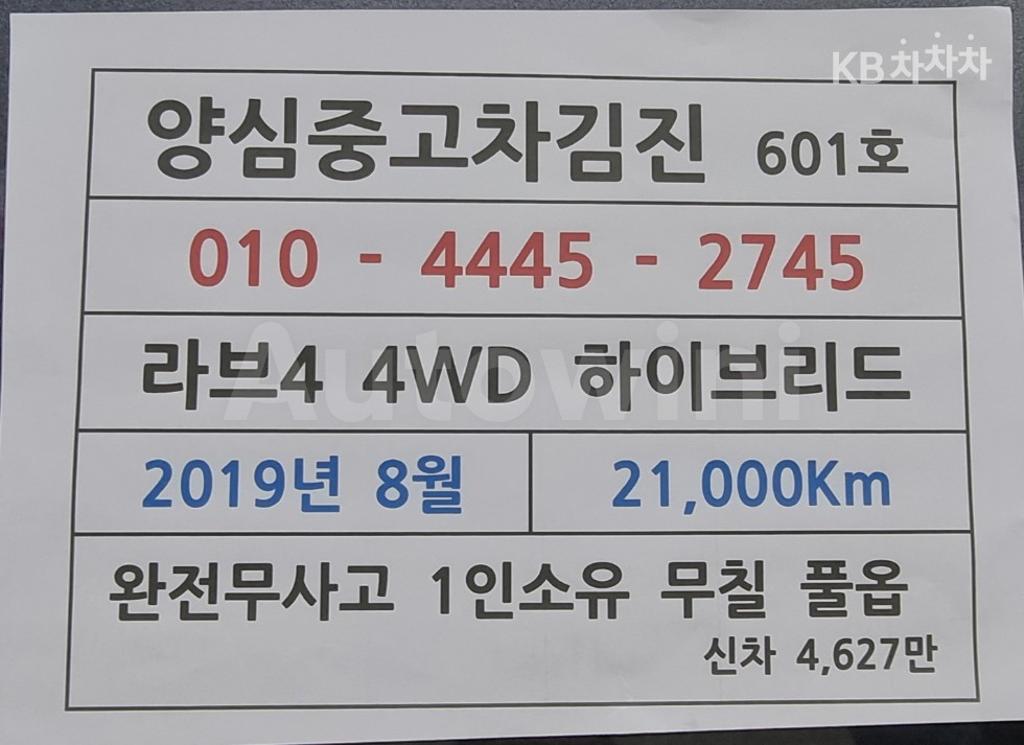 2019 TOYOTA RAV4 2.5 HYBRID AWD BASIC - 32