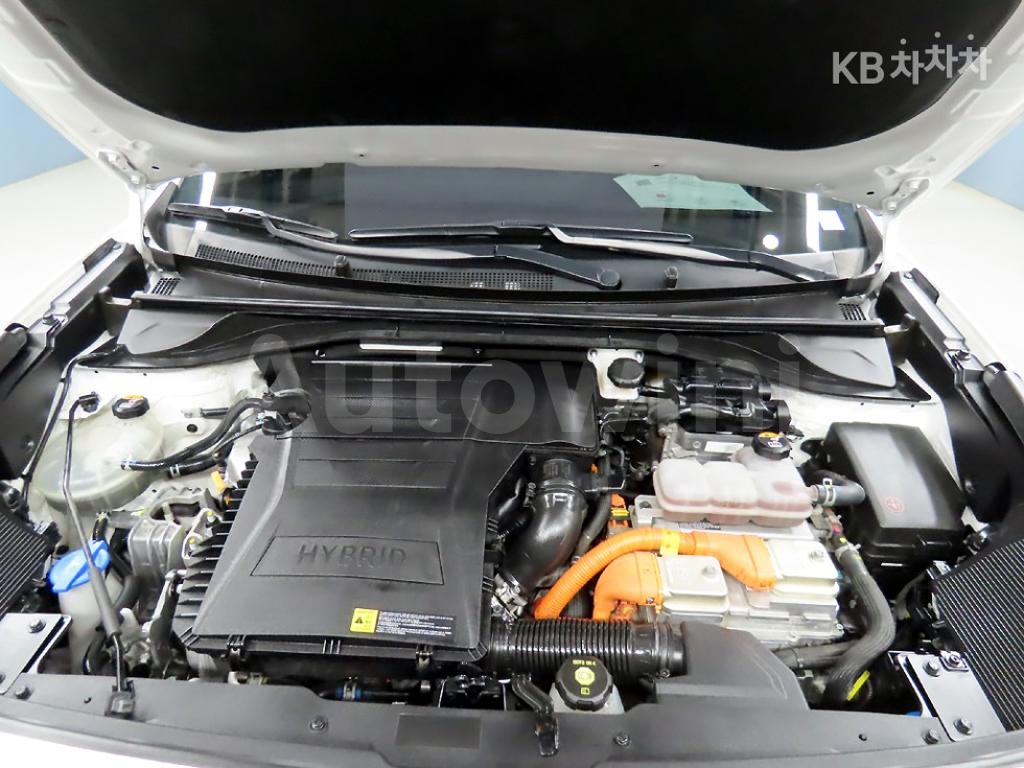 2020 KIA  NIRO 1.6 HEV PRESTIGE - 19