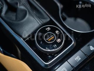 2020 KIA THE MASTER 4WD DIESEL 마스터즈 - 15