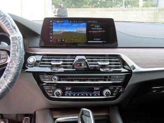 2017 BMW  5SERIES G30  520D XDRIVE M SPORT PACKAGE PLUS - 10
