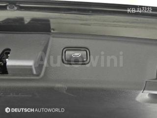 2020 KIA THE MASTER 4WD DIESEL 마스터즈 - 20