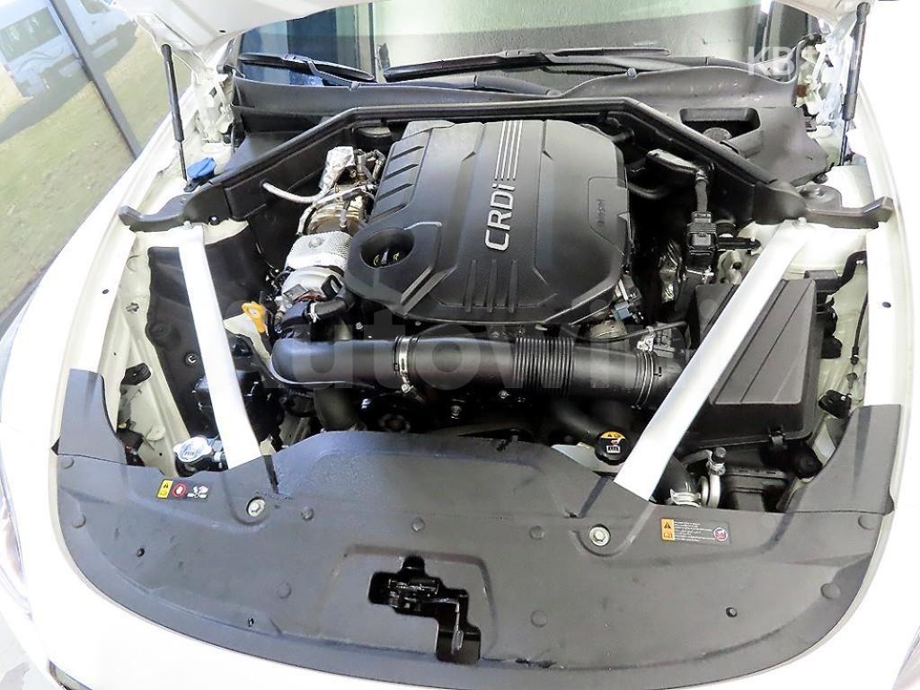 2020 KIA STINGER 2.2 DIESEL 4WD PLATINUM - 19