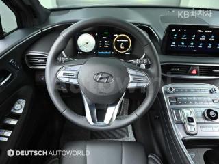 2021 HYUNDAI  SANTAFE TM DIESEL 2.2 2WD 캘리그래피 - 13