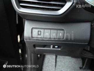 2021 HYUNDAI  SANTAFE TM DIESEL 2.2 2WD 캘리그래피 - 19