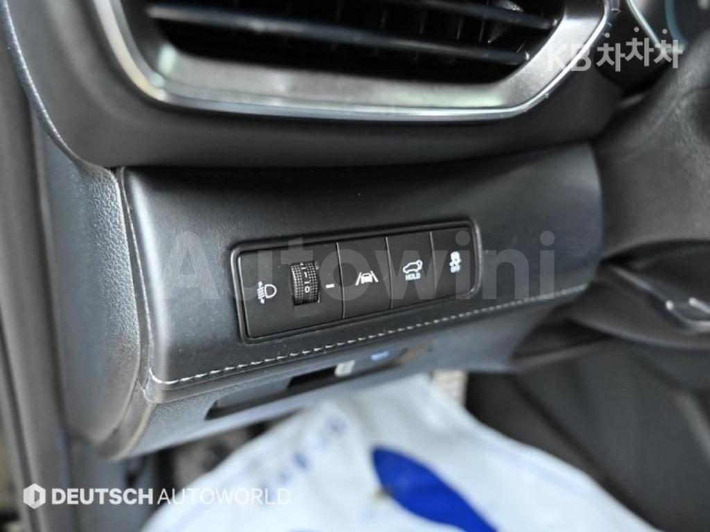 2021 HYUNDAI  SANTAFE TM DIESEL 2.2 4WD 캘리그래피 - 18