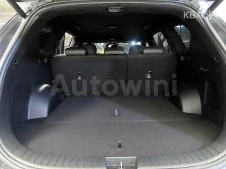 2021 HYUNDAI  SANTAFE TM DIESEL 2.2 2WD 캘리그래피 - 13