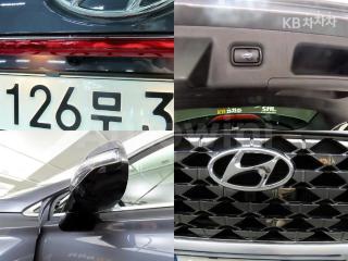 2021 HYUNDAI  SANTAFE TM DIESEL 2.2 4WD 캘리그래피 - 15