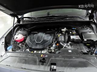 2021 HYUNDAI  SANTAFE TM DIESEL 2.2 4WD 캘리그래피 - 19