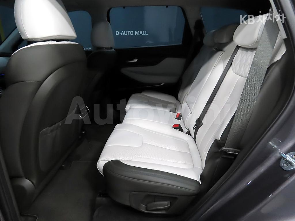 2021 HYUNDAI  SANTAFE TM DIESEL 2.2 2WD 캘리그래피 - 7