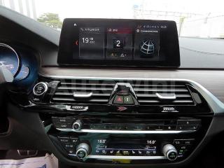 2018 BMW  5SERIES G30  530I M SPORT PLUS - 10