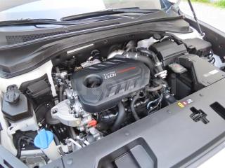 KMHS581ABLU237829 2020 HYUNDAI SANTA FE TM GASOLINE 2.0T 2WD 인스퍼레이션-4
