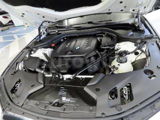 2017 BMW  5SERIES G30  520D M SPORT PACKAGE - 19