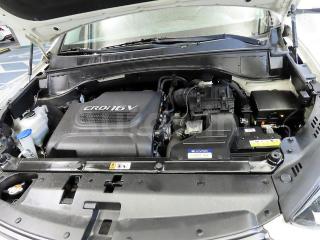 2017 HYUNDAI  MAXCRUZ DIESEL(E-VGT)R2.2 2WD EXCLUSIVE 6 SEATS - 19