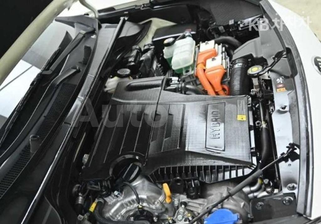 2020 KIA  NIRO 1.6 HEV TRENDY - 30