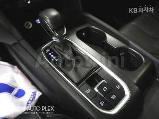 2020 HYUNDAI SANTA FE TM GASOLINE 2.0T 4WD PREMIUM - 15