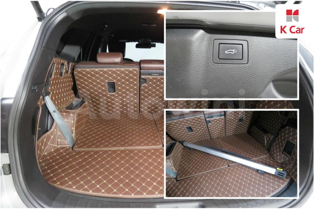 2018 HYUNDAI  MAXCRUZ DIESEL 2.2 2WD - 19